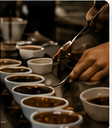 Cupping mẫu cà phê
